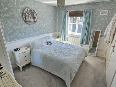 Picture 15